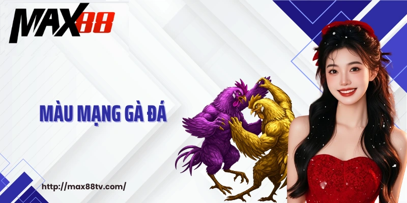 màu mạng gà đá