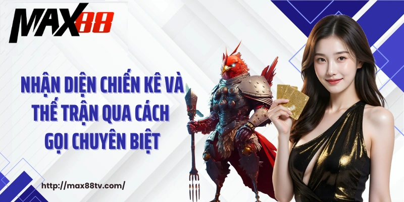 Nhận diện chiến kê và thế trận qua cách gọi chuyên biệt