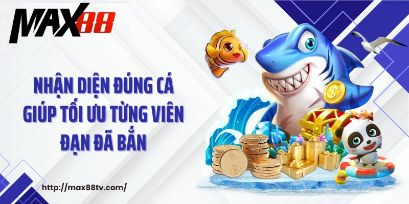 Nhận diện đúng cá giúp tối ưu từng viên đạn đã bắn